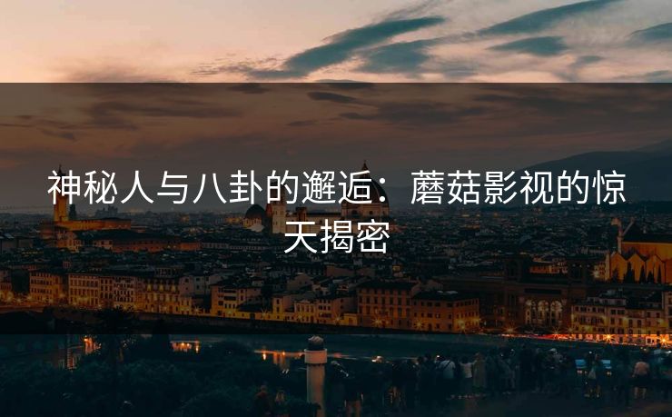 神秘人与八卦的邂逅：蘑菇影视的惊天揭密