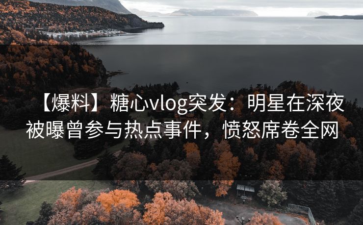 【爆料】糖心vlog突发：明星在深夜被曝曾参与热点事件，愤怒席卷全网