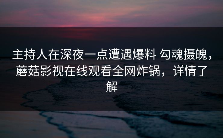 主持人在深夜一点遭遇爆料 勾魂摄魄，蘑菇影视在线观看全网炸锅，详情了解