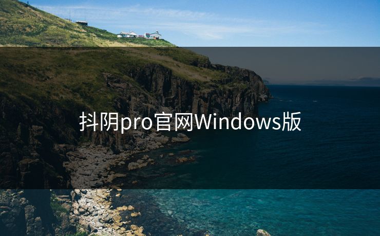 抖阴pro官网Windows版