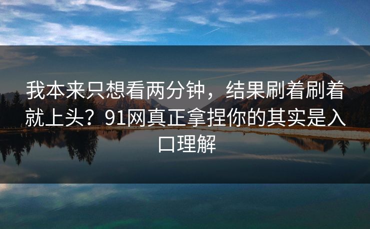 我本来只想看两分钟，结果刷着刷着就上头？91网真正拿捏你的其实是入口理解