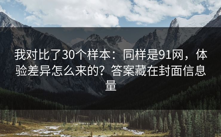 我对比了30个样本：同样是91网，体验差异怎么来的？答案藏在封面信息量
